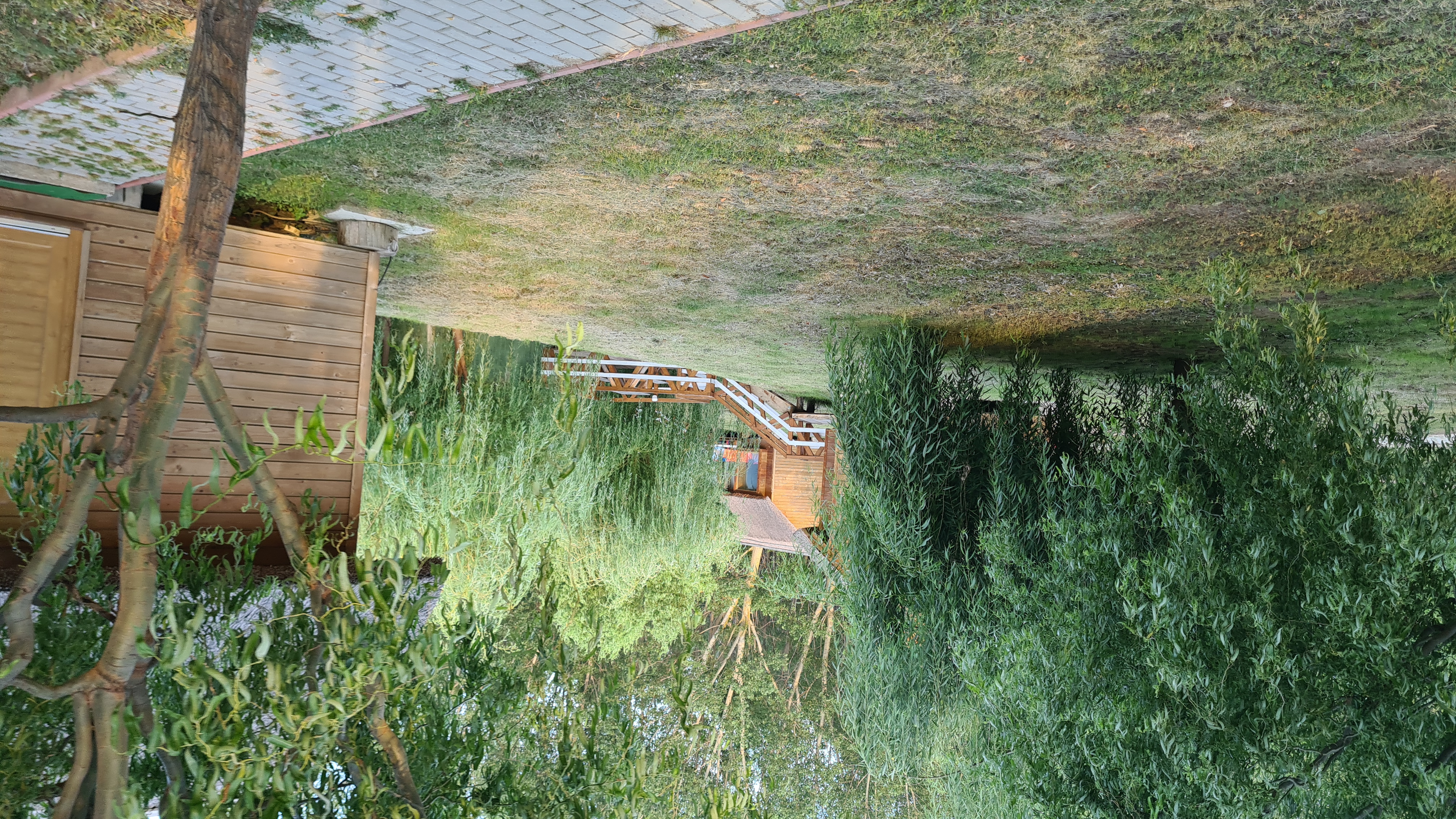 „Delta Dunării” de pe Siret. Satul de vacanță de 82 de hectare, cu zoo, pescuit sportiv și kilometri de canale unde te poți plimba cu barca