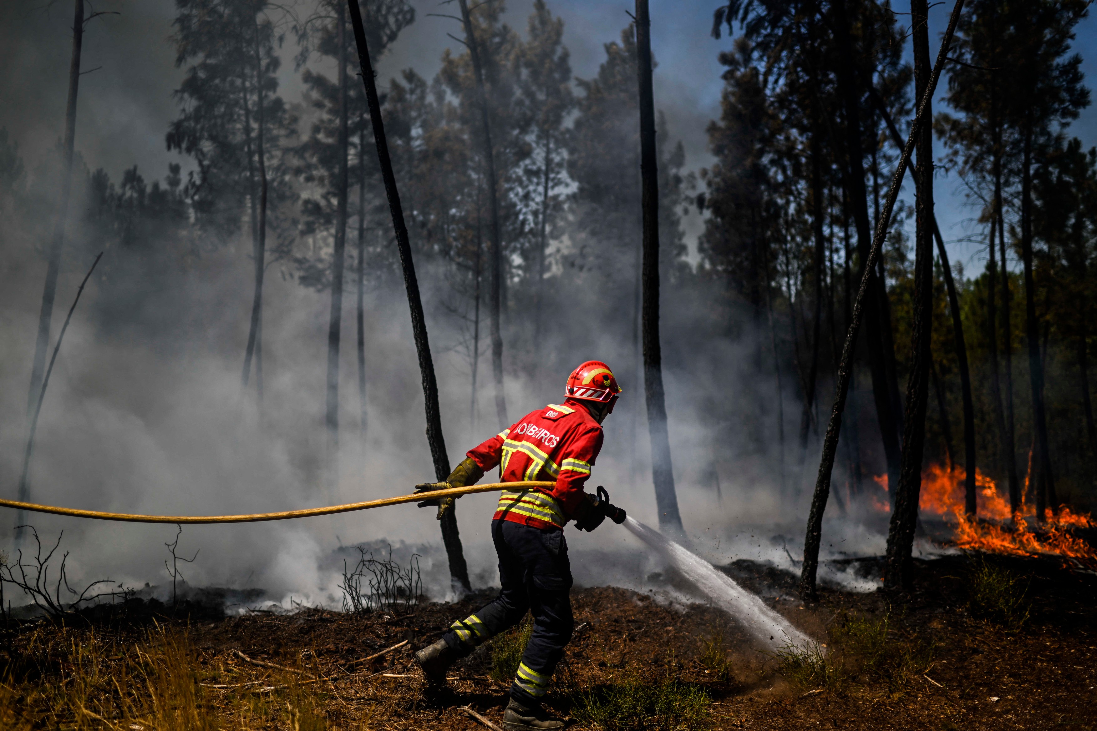 Incendii masive de vegetație în Portugalia, în mijlocul unui nou val de caniculă. Peste 1.400 de oameni au fost evacuați