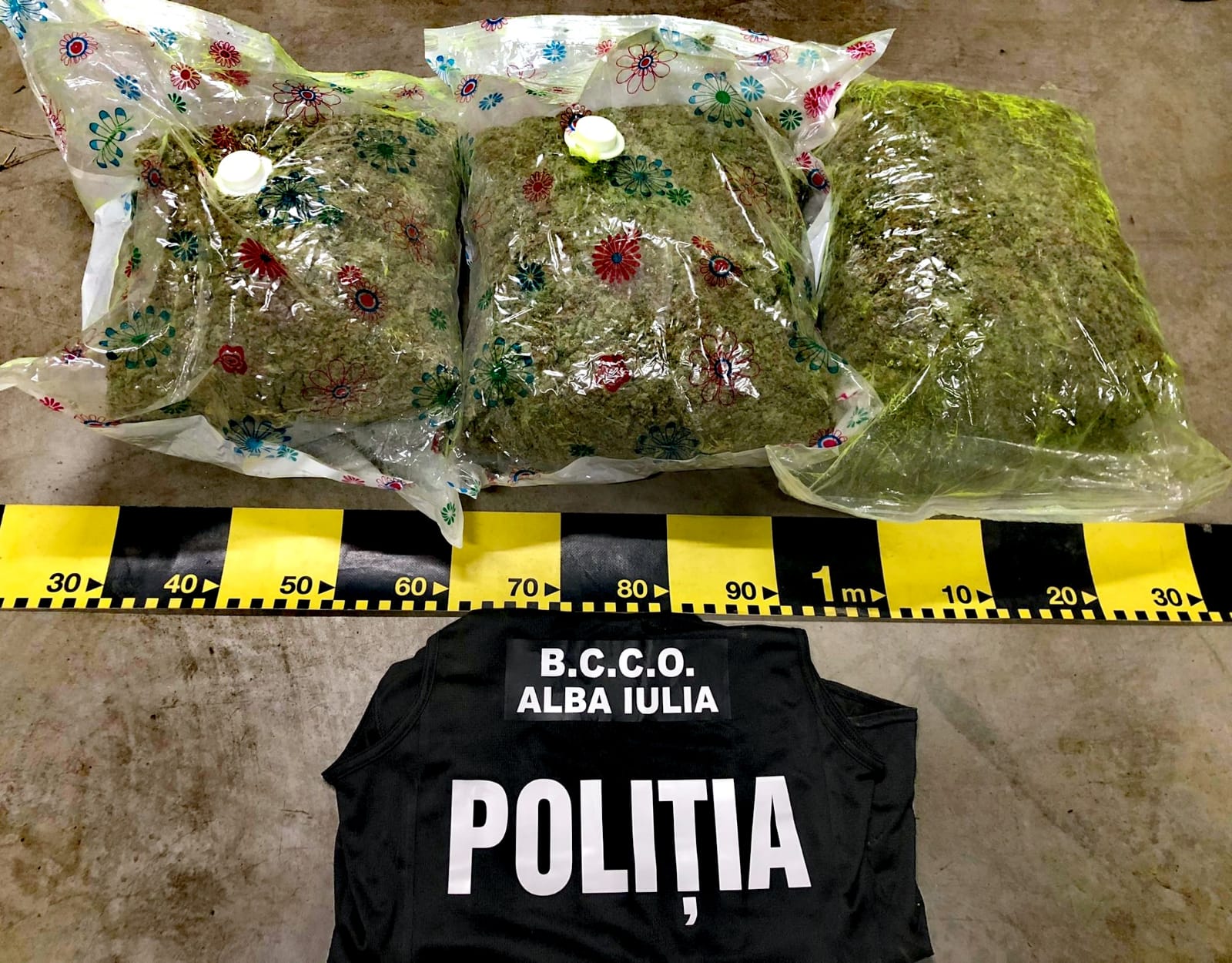 Tânăr din Alba, prins de DIICOT cu 7,5 kg de canabis. Cum au fost introduse drogurile în țară