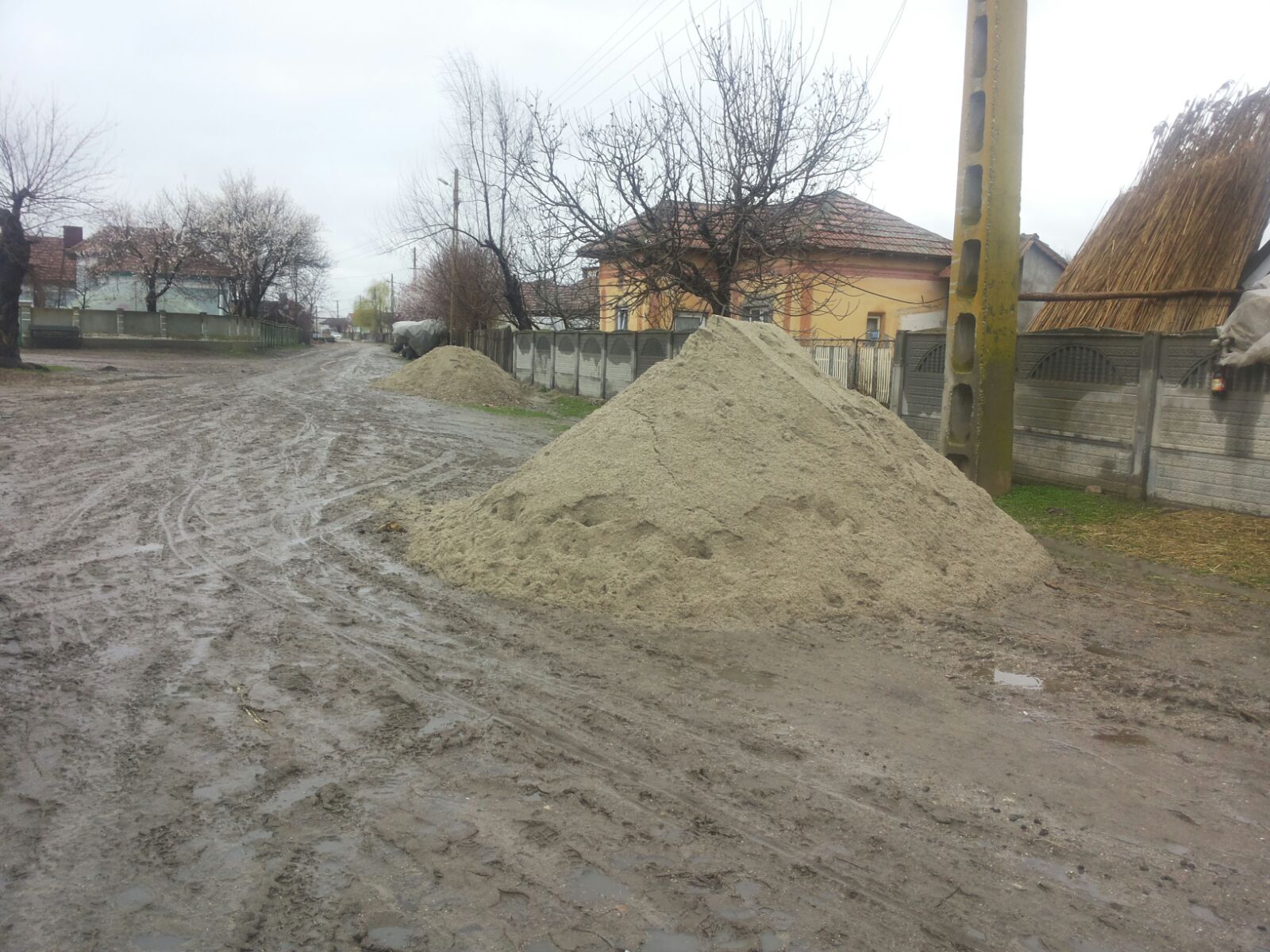 Dunărea, sub cod portocaliu în judeţul Olt! Sute de hectare de păşune şi pădure sunt inundate! GALERIE FOTO