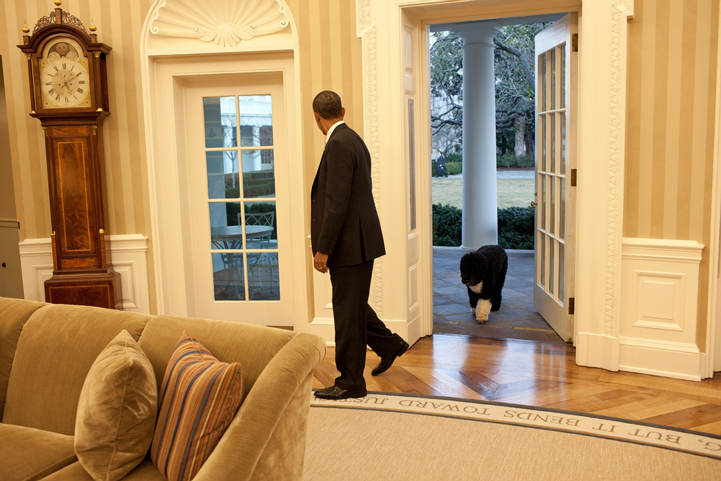 Bo, unul dintre câinii familiei Obama, a murit. Barack Obama: „Ne va fi tare dor de el”