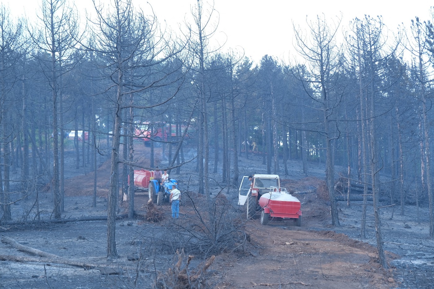 Tornadă de foc în Turcia, "diavolul de foc" e rezultatul caniculei și vântului puternic și fierbinte. 13 persoane au murit, drumuri blocate și oameni evacuați | VIDEO