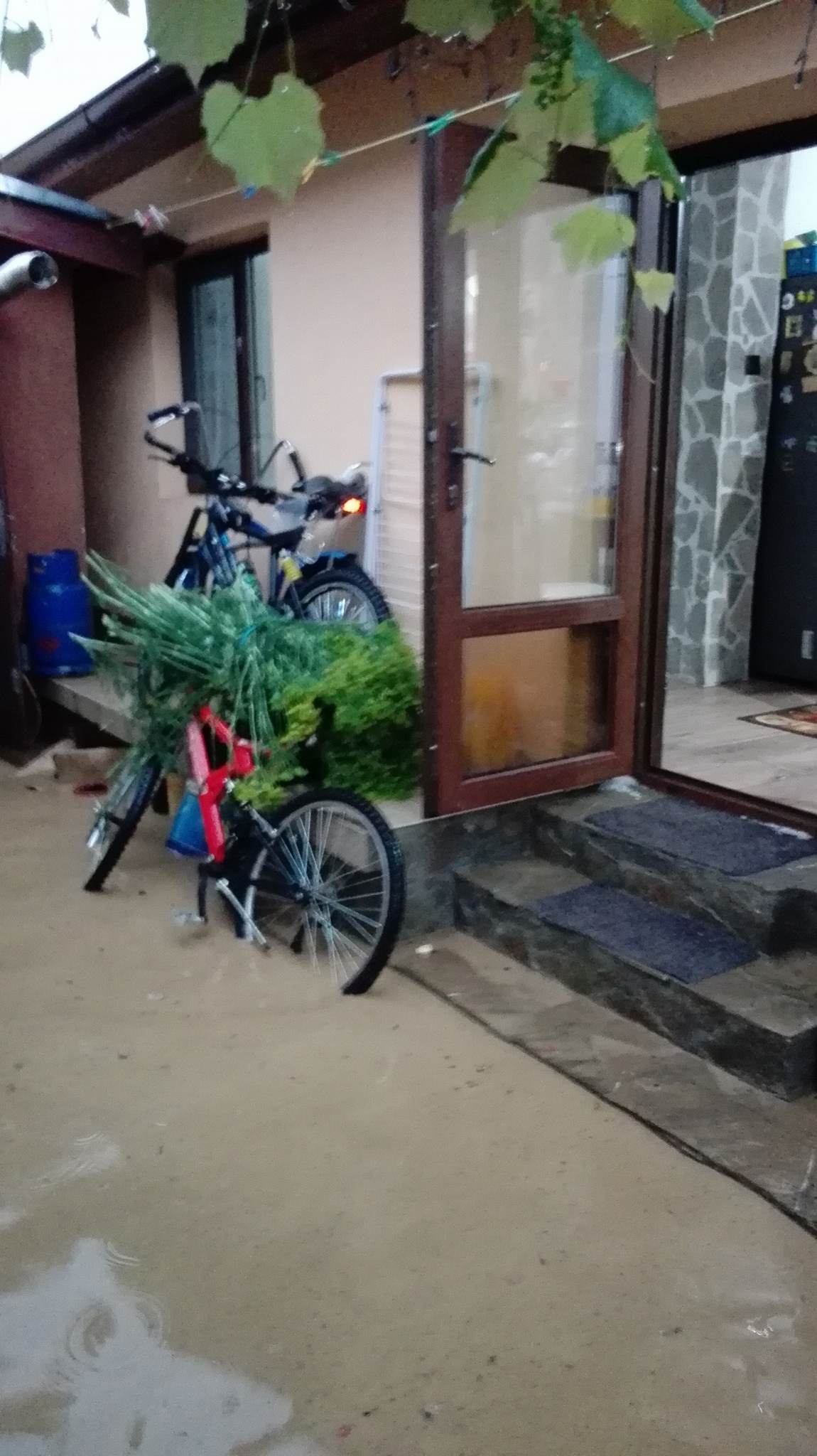 UPDATE: Inundațiile și furtunile au făcut ravagii în șase județe din țară. Zeci de oameni, pe drumuri în urma vijeliei