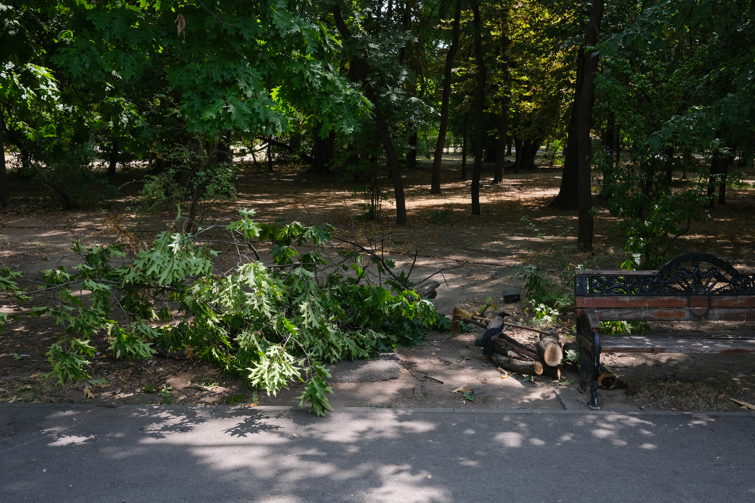 Parcul Herăstrău, degradarea continuă. Bănci rupte, iarbă lipsă, alei crăpate și arteziene fără apă