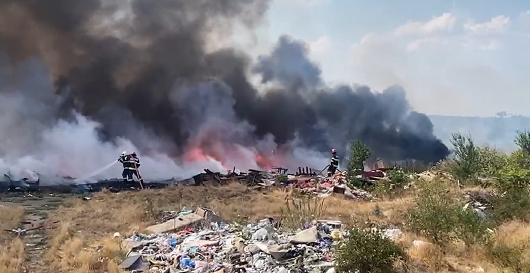 Incendiu de vegetaţie uscată în Arad. Focul s-a extins spre autostradă și a cuprins panourile fonoabsorbante de pe margine