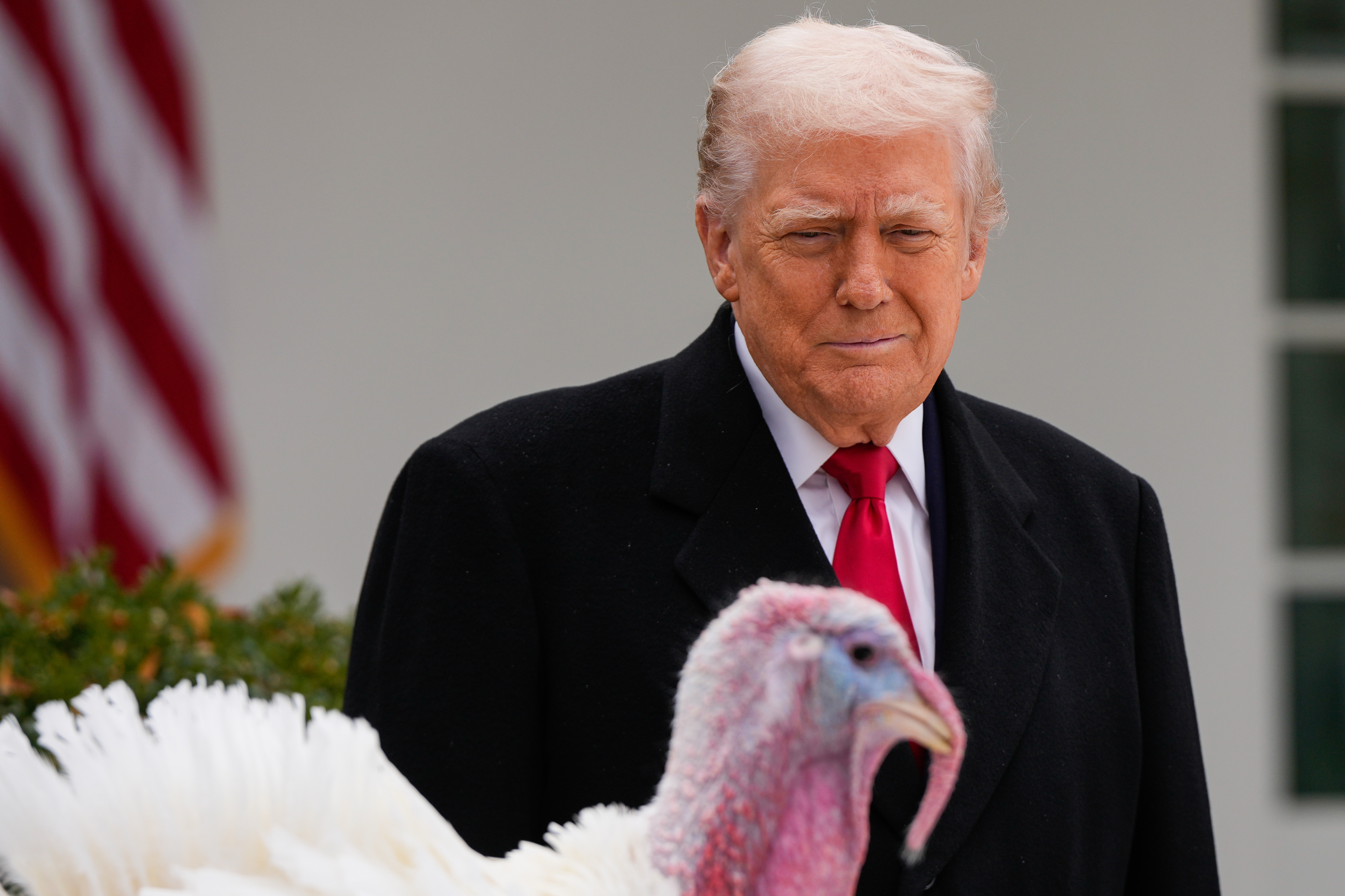 President Donald Trump also highlighted lower turkey prices at this year's turkey pardoning.