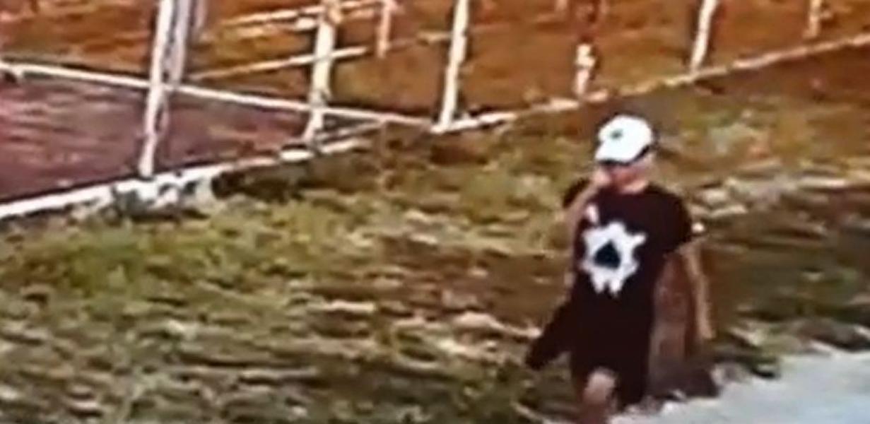 Cum a fost surprins tânărul care a evadat din sediul poliției Urziceni de localnicii dintr-o comună din apropiere