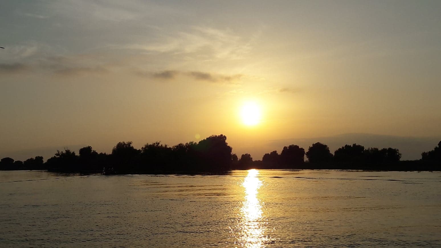 FOTOREPORTAJ/ Prin Delta Dunării, în căutarea sălbăticiei