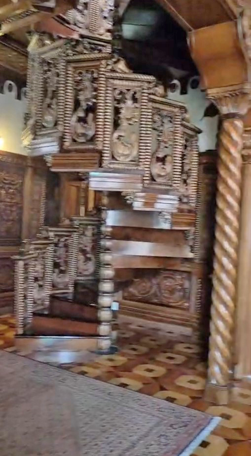 Cum arată în interior palatul lui Gradu Cârpaci, acuzat în Germania că a forțat un român să îi doneze un rinichi. A copiat interioare și picturi de la Castelul Peleș