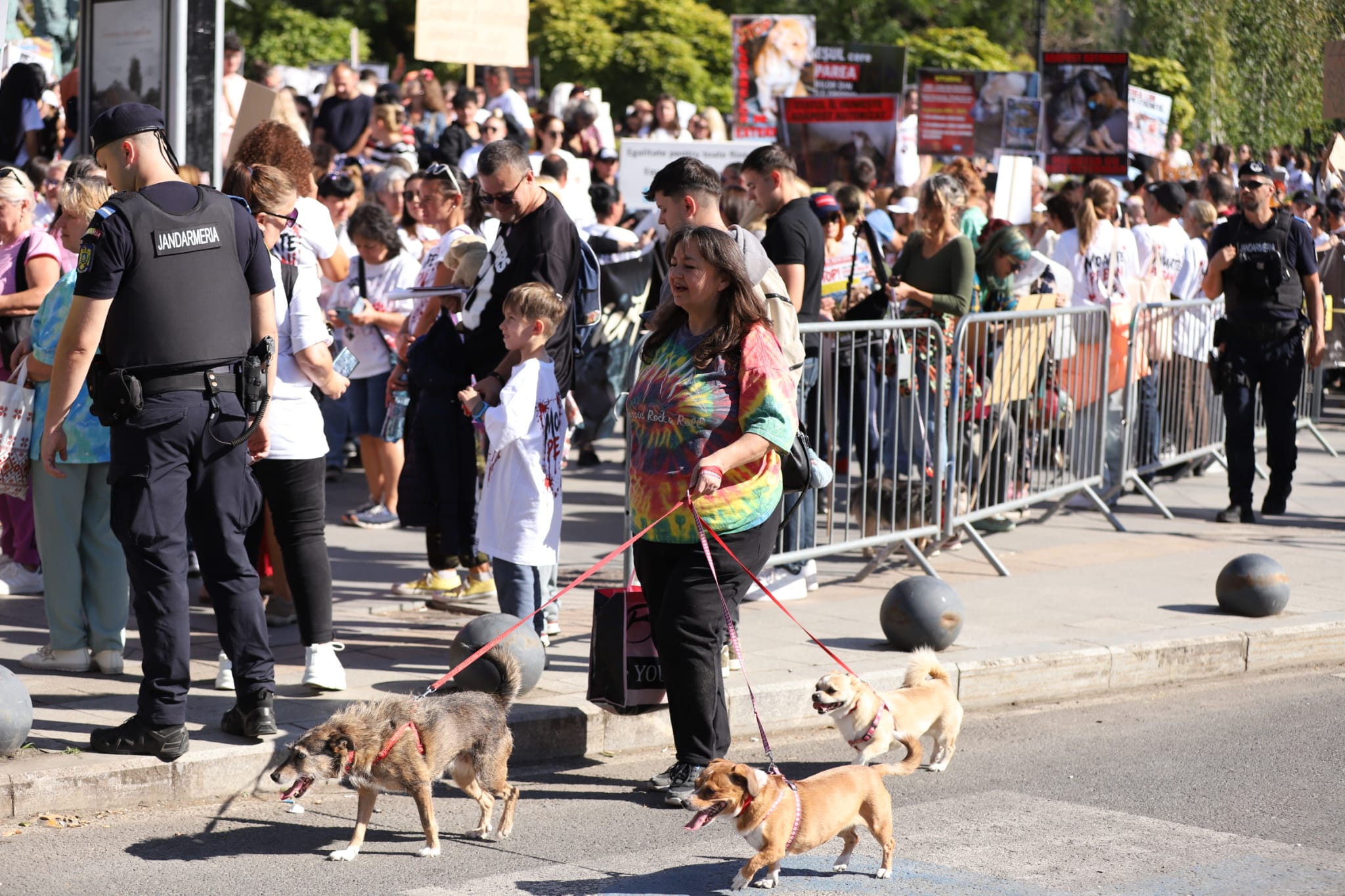 Protest de amploare în București de Ziua Mondială a Animalelor. Peste 70 de organizații cer oprirea uciderii câinilor din adăposturi și legi mai ferme