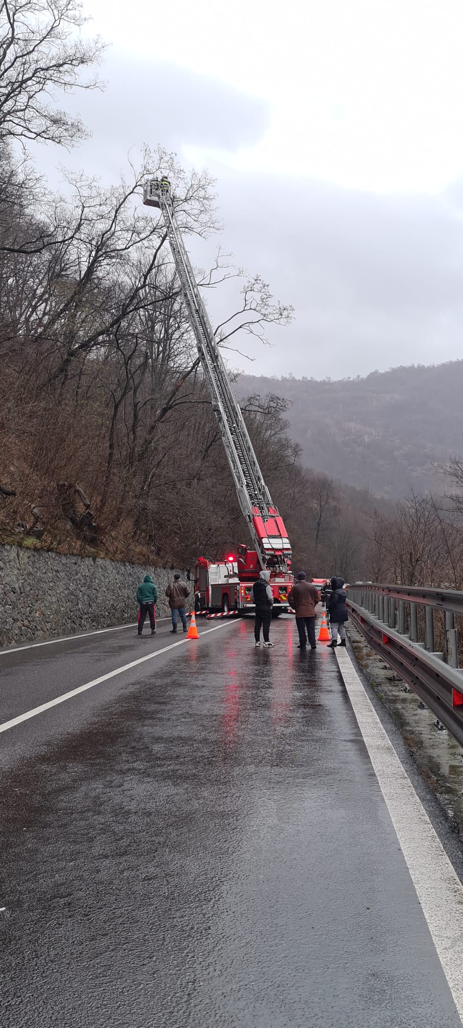 Probleme pe DN7, între Râmnicu Vâlcea şi Sibiu. O porțiune din drum s-a surpat, mai mulți copaci au căzut pe carosabil