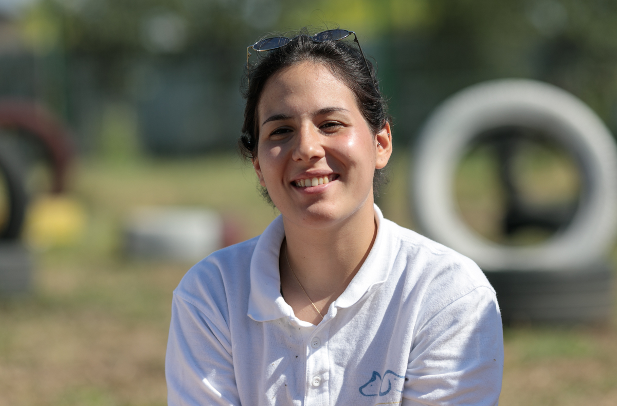„Îi oferi o viață, iar când crește, îl arunci pe stradă. Ăsta este egoism”. Patru studenți din Turcia au grijă de câinii abandonați din București