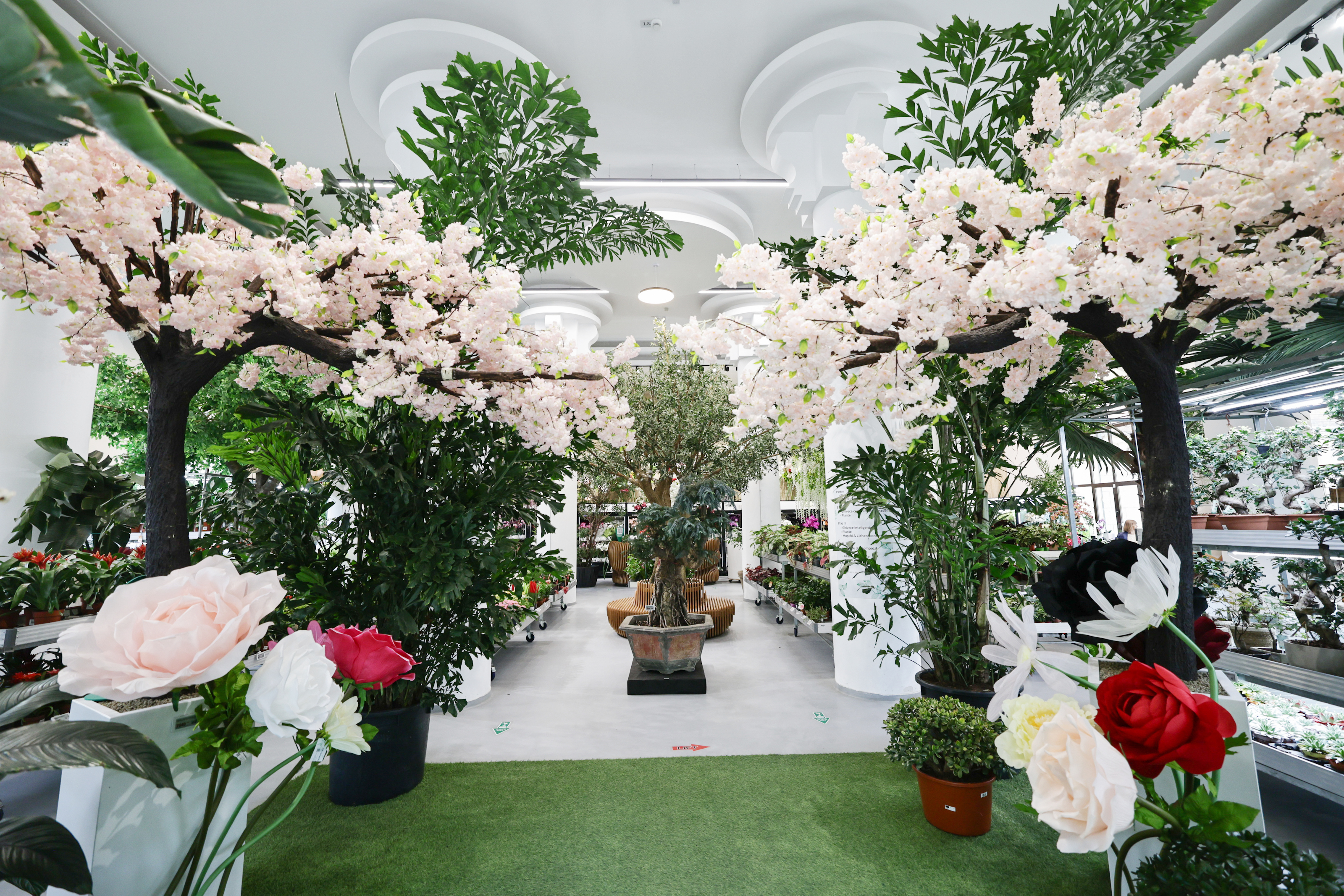 Mall-ul de plante din București are cinci niveluri cu peste 1.200 de soiuri, ghivece inteligente și un mesteacăn artificial care costă cât un apartament
