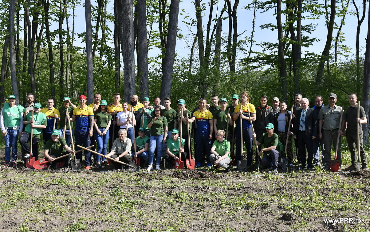 ”Stejarii” au plantat stejari la Brănești. Rugbyștii tricolori, ajutați de silvicultorii Romsilva / FOTO