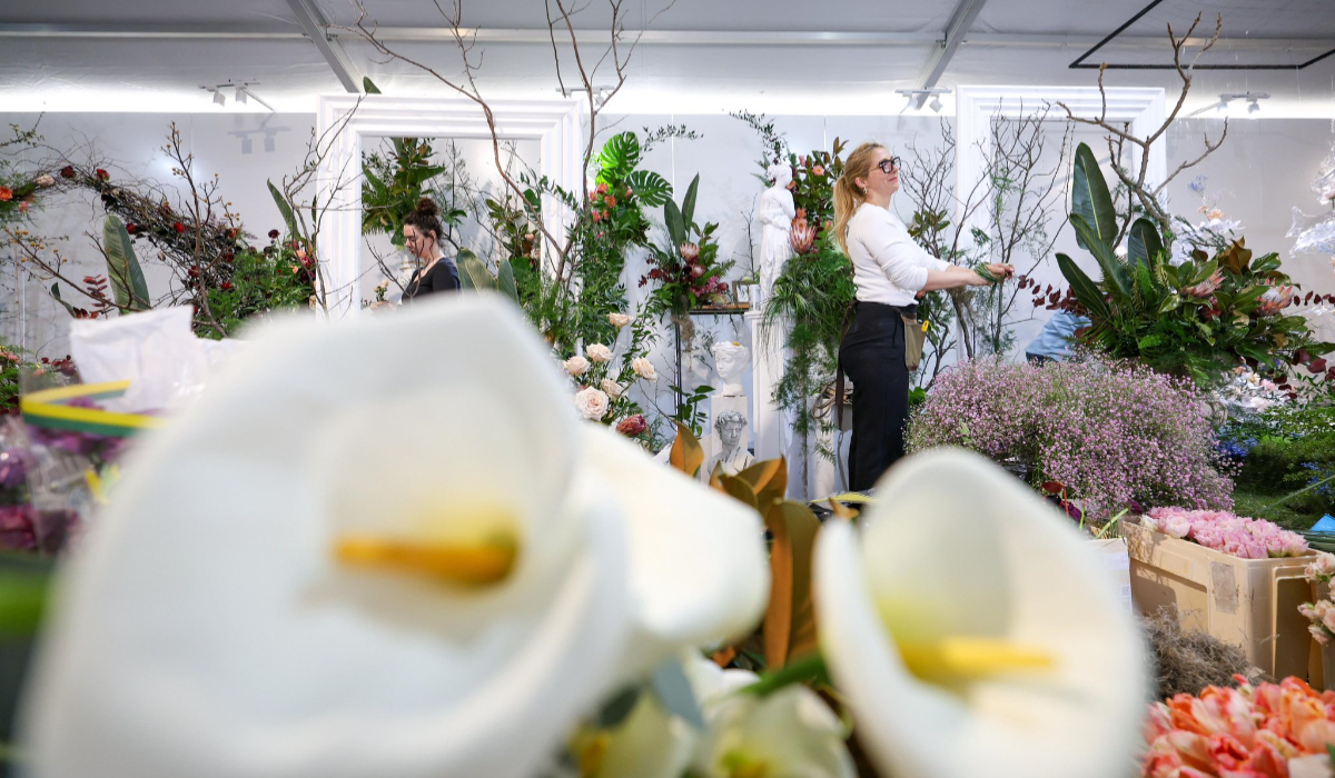 Începe Simfonia Lalelelor 2026 la Pitești: primele imagini cu florile spectaculoase de la cea de-a 49-a ediție