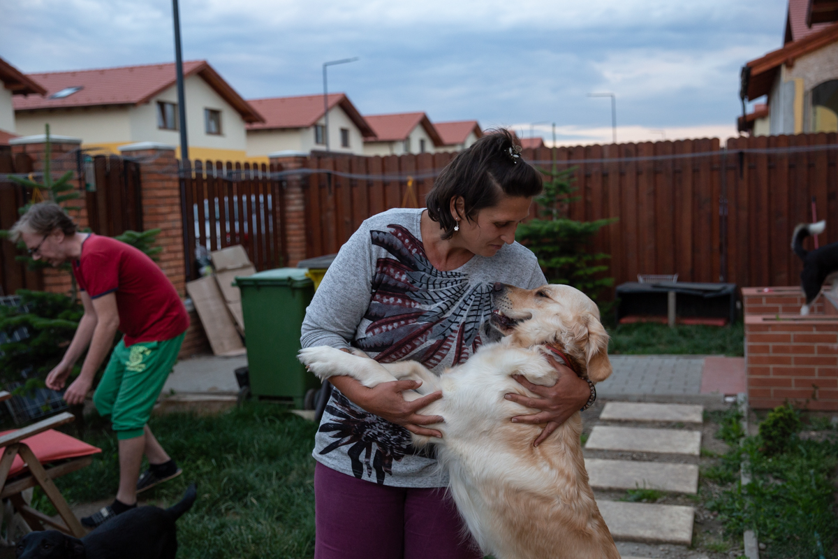 Crima care a șocat iubitorii de animale: câinii otrăviți ai familiei româno-norvegiene care îngrijește animale abandonate lângă Brașov