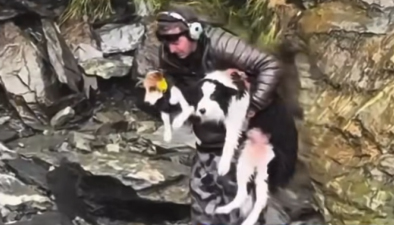 Egy hét után találtak rá az elveszett kutyusra a vadonban: így örült a gazdijának Molly – videó