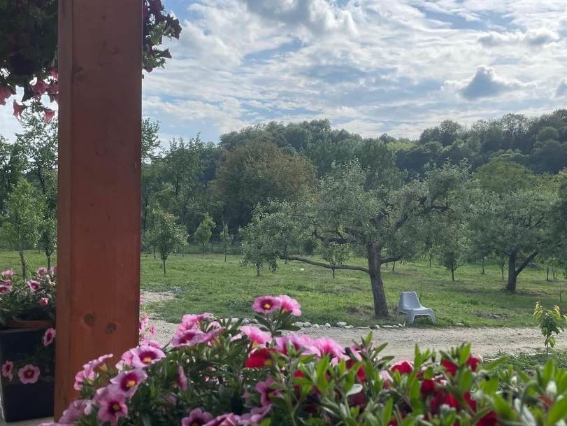 Cum e viața la țară pentru Dragoș Bucur și Dana Nălbaru. Ea a cules primele roade din grădină, iar actorul a apărut cu motocoasa: „Țăran amator”