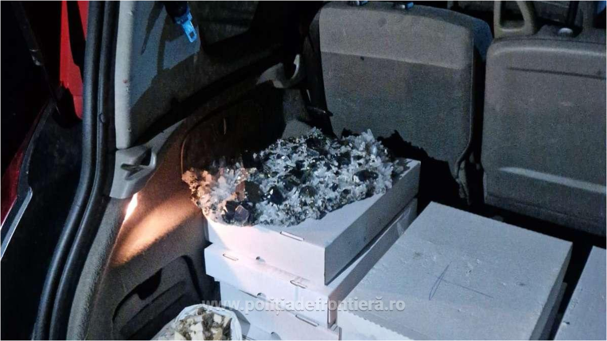 Flori de mină în valoare de peste 20.000 de euro, confiscate la granița cu Ungaria
