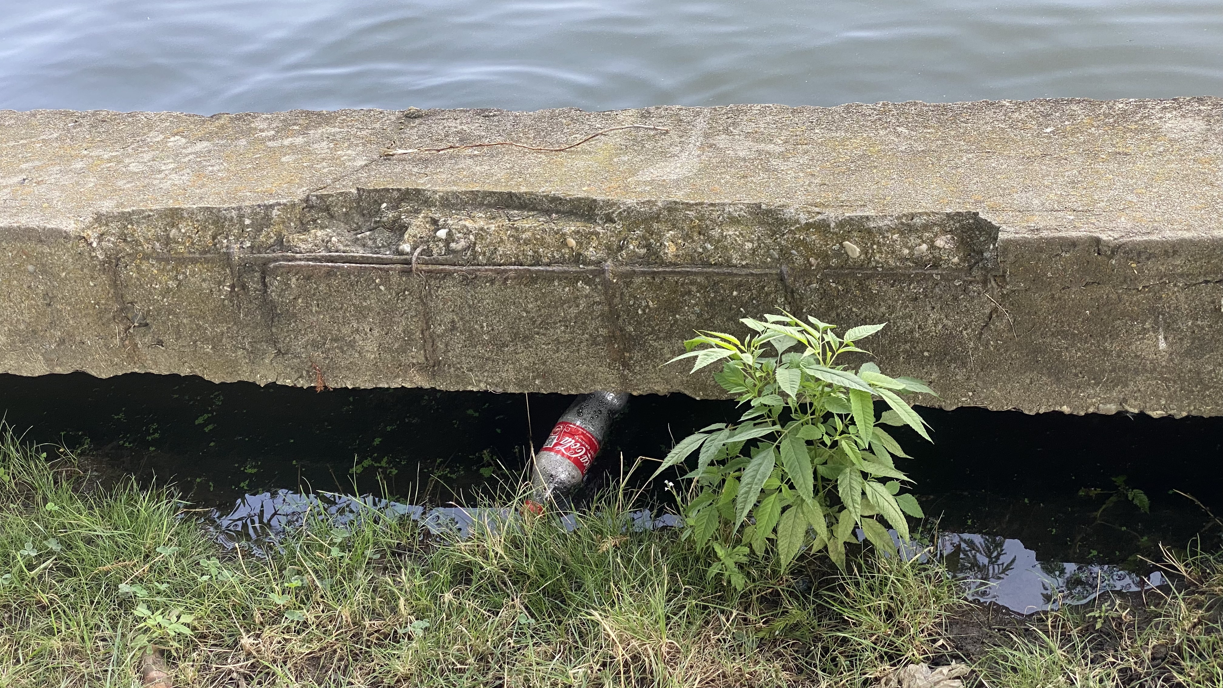 FOTO. Herăstrău, cel mai mare parc al Bucureștiului, arată mai rău ca niciodată. Trandafirii și zonele cu flori sunt istorie, clădirile pentru expoziții au fost vandalizate