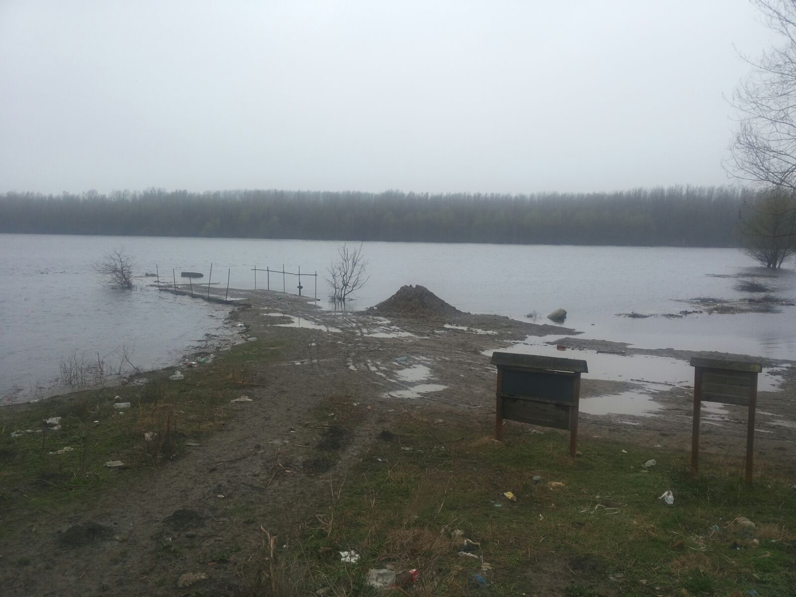Dunărea, sub cod portocaliu în judeţul Olt! Sute de hectare de păşune şi pădure sunt inundate! GALERIE FOTO