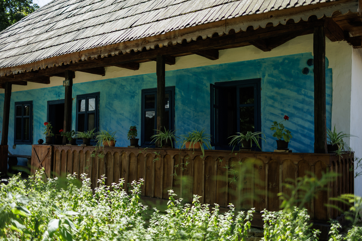 Paznici neobișnuiți pentru Muzeul Satului. Zeci de pisici sunt „plătite” cu hrană și apă pentru a apăra valoroasele exponate