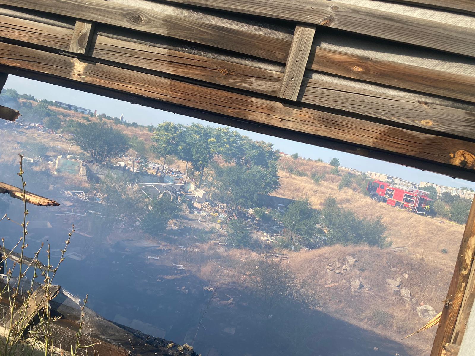 Incendiu de vegetaţie uscată în Arad. Focul s-a extins spre autostradă și a cuprins panourile fonoabsorbante de pe margine