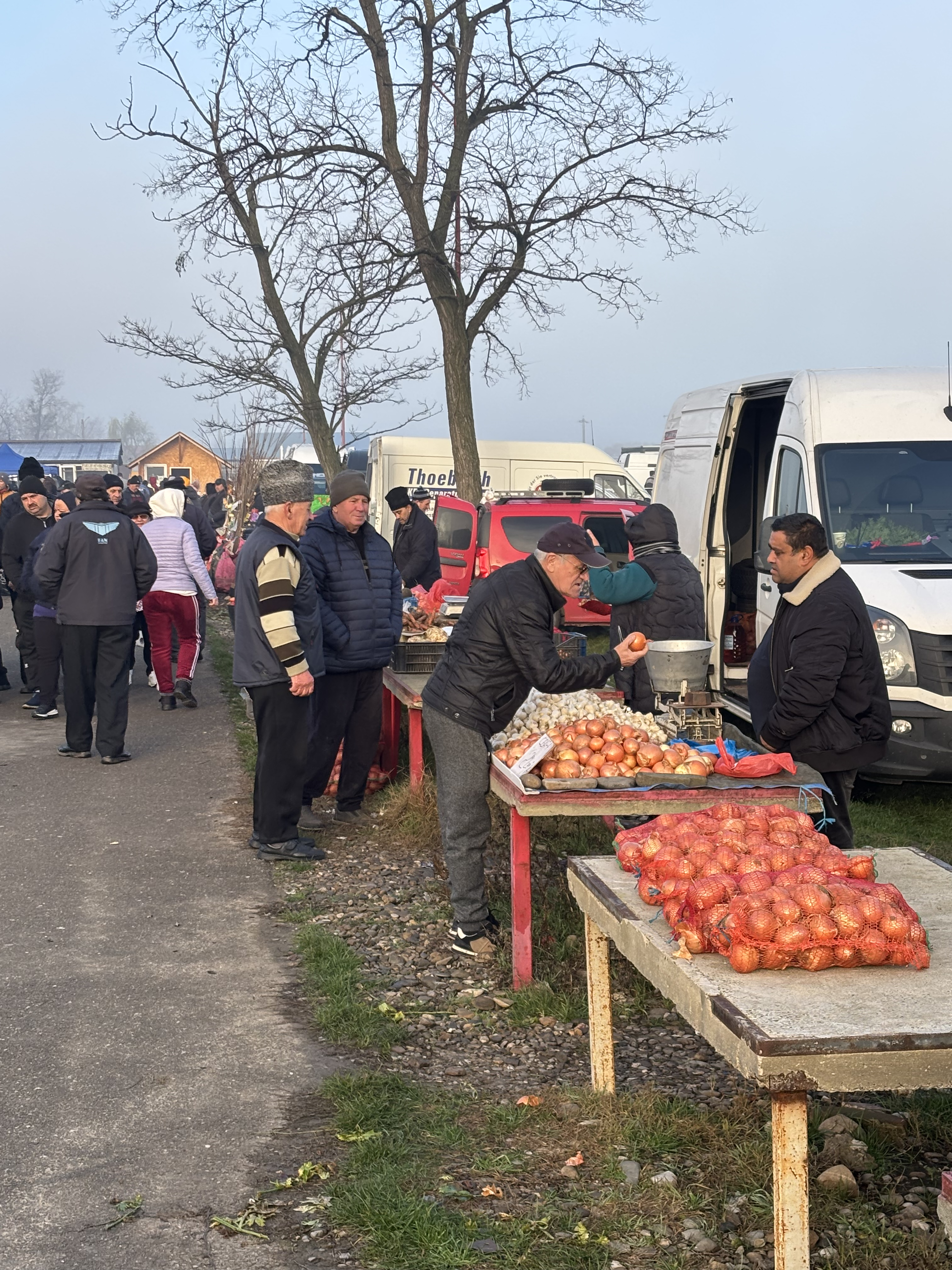 „N-am porc din cauza scroafelor de la București! Georgescu o să le dea cu râtul în noroi” - supărarea din Corbii Mari, Voluntari și Smeeni că porcii sunt interziși, de Crăciun, la vânzare în târgurile săptămânale