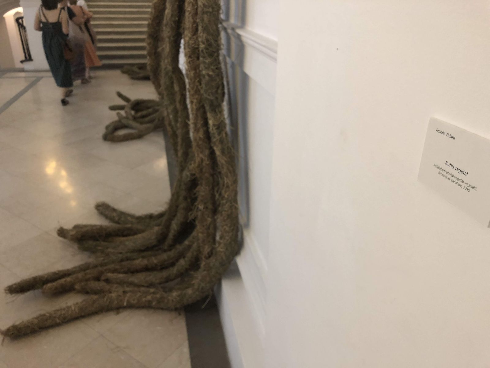 REPORTAJ: Arta din fân! Un deal întreg din Bucovina "a invadat" Muzeul de Artă din Timișoara: "Am vrut ca vegetalul să inunde spațiul nostru cotidian"