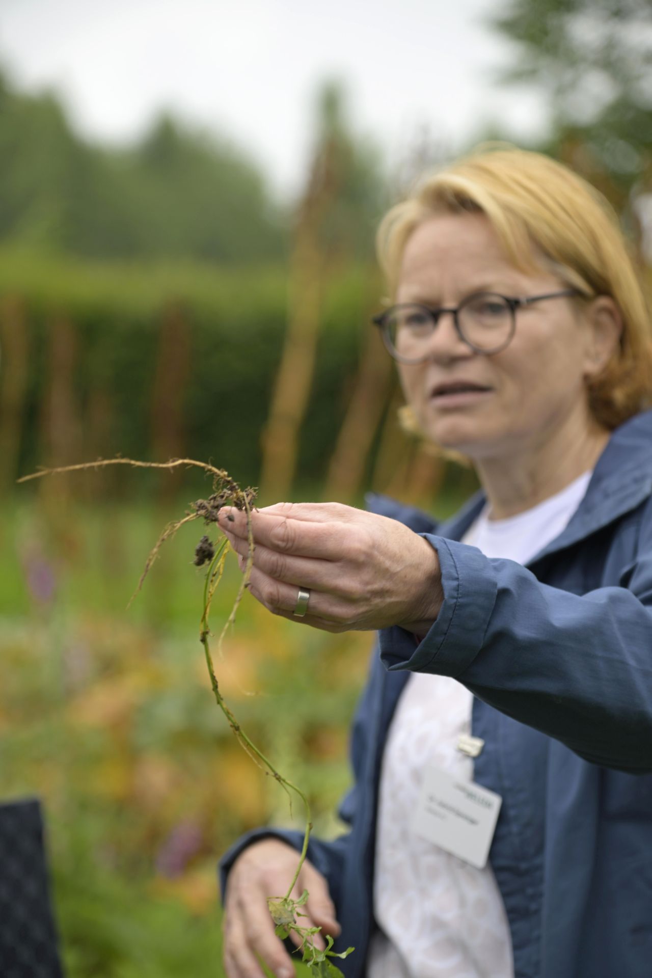 Cum se fabrică celebrele produse Weleda! Am vizitat grădina de plante medicinale din Germania, un paradis de 23 de hectare
