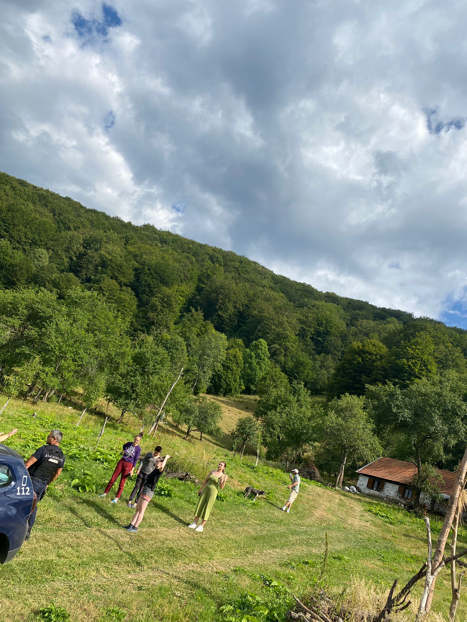 Zimbrii au intrat în gospodăriile oamenilor din comuna Cornereva. Au intervenit jandarmii din Caraș-Severin