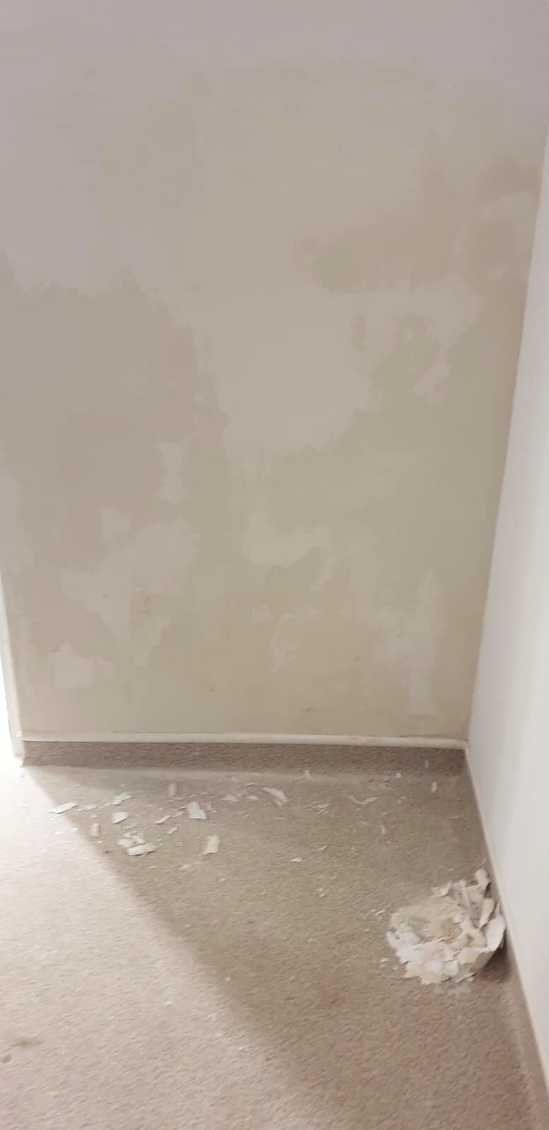 Apa infiltrată în pereții unui spital din Arad, renovat anul trecut cu 5 milioane de euro