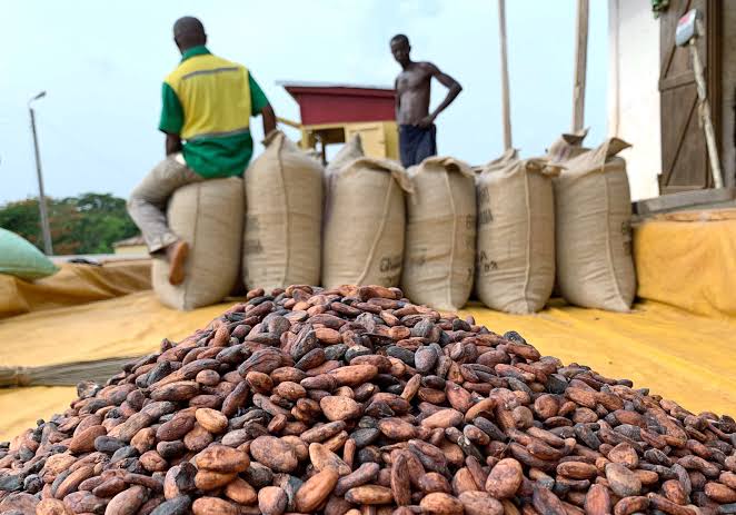 Cocoa beans in Ghana. REUTERS/Ange Aboa