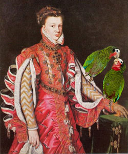 Parrots