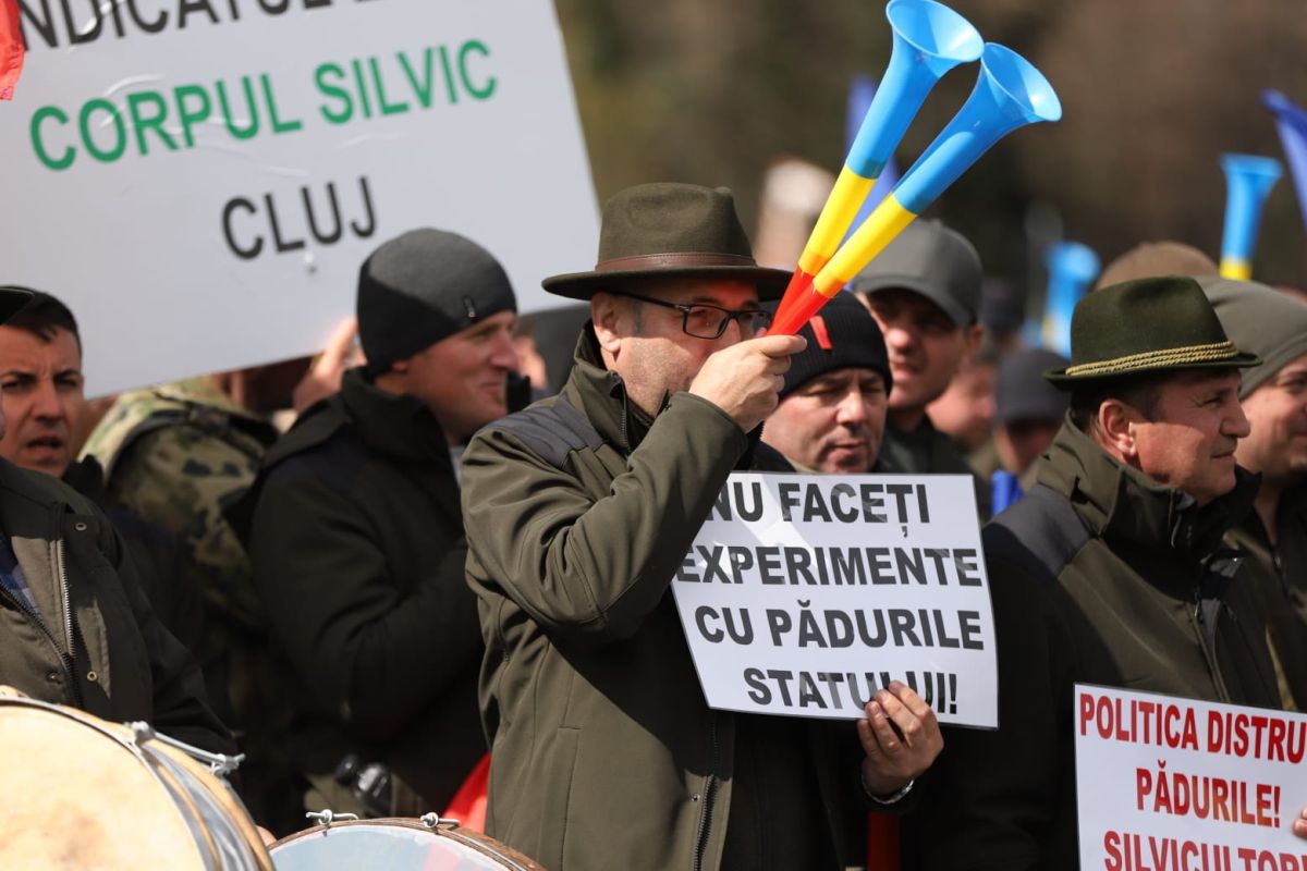 Silvicultorii protestează la București față de tăierea salariilor și amenință cu greva generală