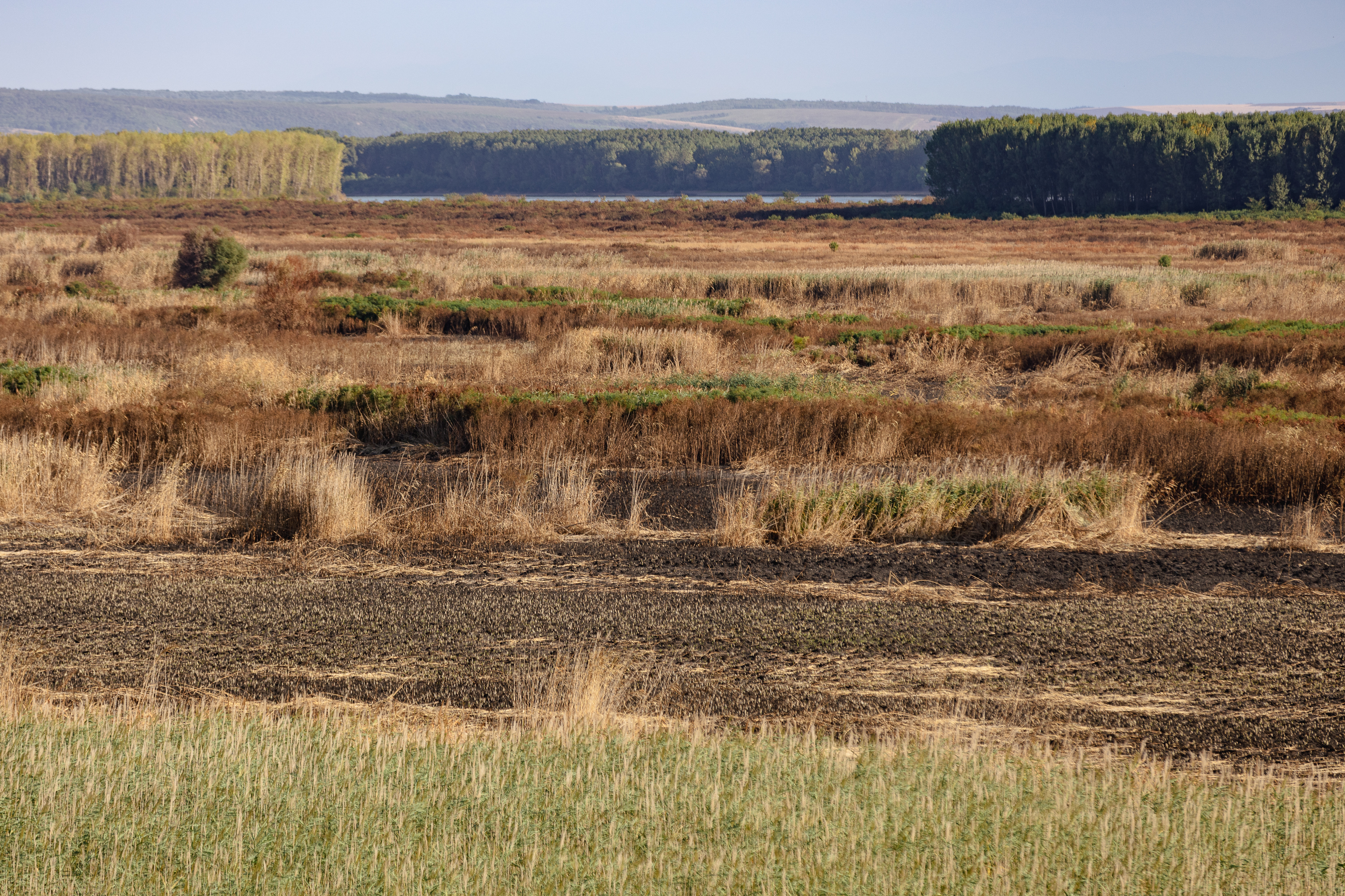 REPORTAJ. Cum arată de la fața locului dezastrul de la Islaz, unde au ars aproape 700 de hectare din „Delta Teleormanului"
