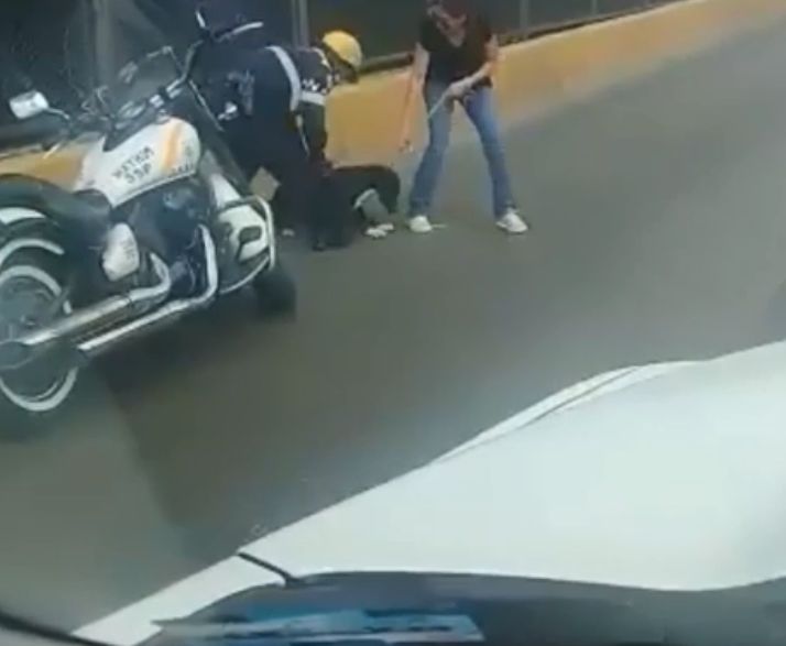 Un polițist a oprit traficul ca să salveze un câine. Gestul agentului a emoționat pe toată lumea | FOTO