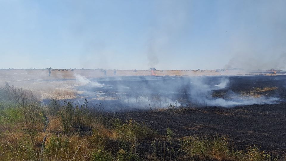 Incendiile de vegetație fac ravagii în Timiș. O mașină și mai multe hectare de teren, făcute scrum