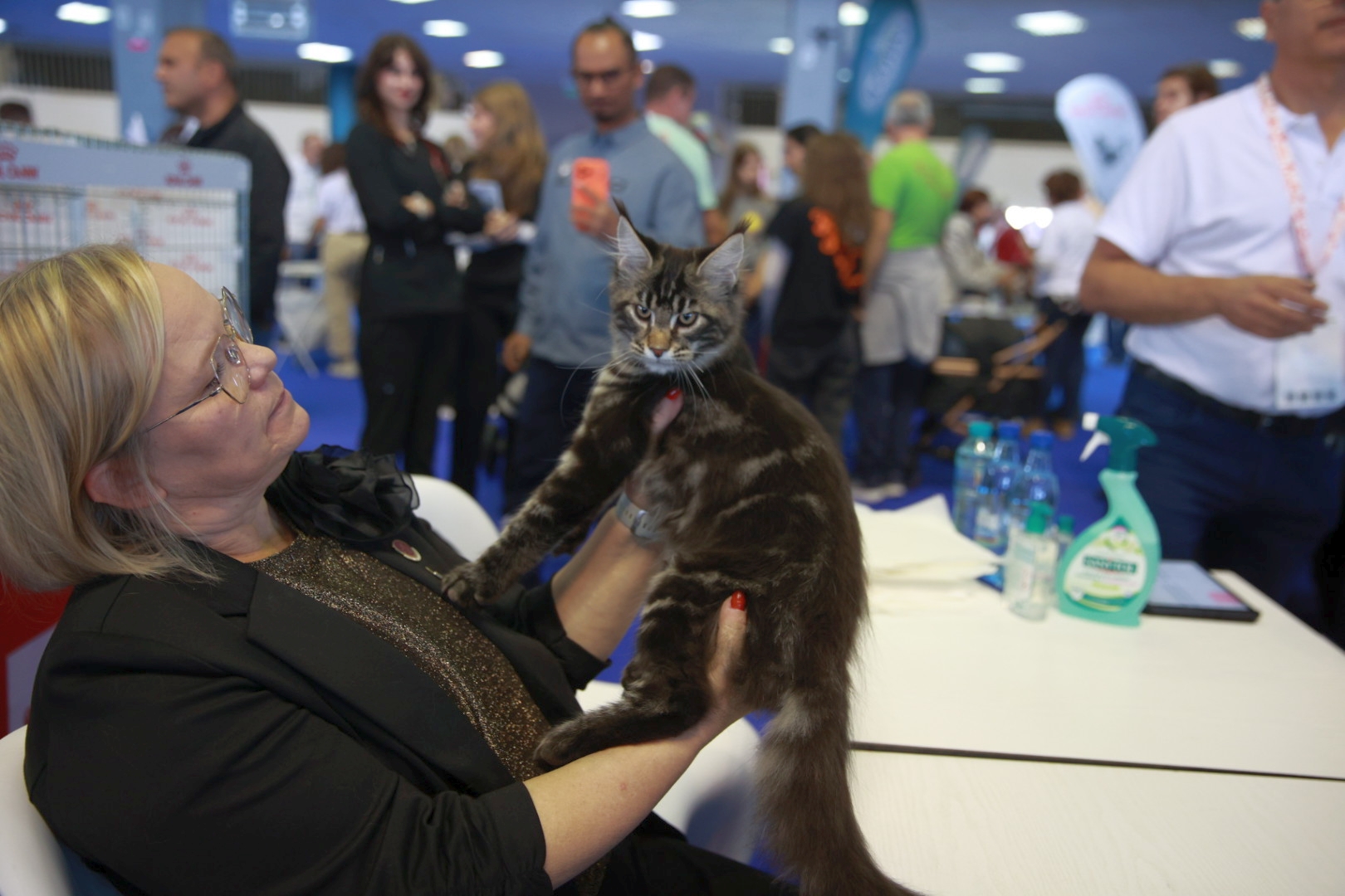 Libertatea a mers la Campionatul Mondial Felin. Bucureștiul, capitala mondială a pisicilor: peste 750 de feline din întreaga lume au strălucit la Romexpo