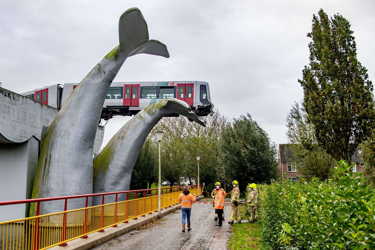 Imaginea zilei: Statuia unei balene a împiedicat un dezastru, în Olanda