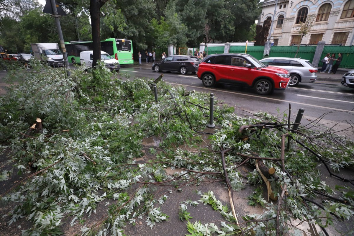 Bilanț negru al potopului în București și Ilfov: 1.000 de copaci căzuți, sute de case inundate, 456 de mașini distruse. Stația Piața Victoriei 2 rămâne închisă