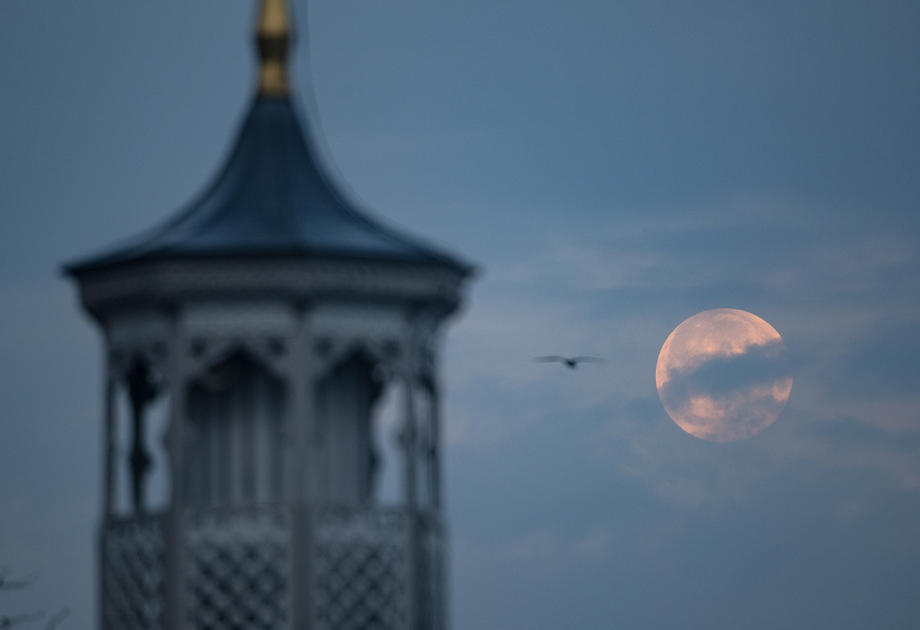 VIDEO | Imagini spectaculoase cu superluna, ultimul fenomen astronomic de acest fel din anul acesta