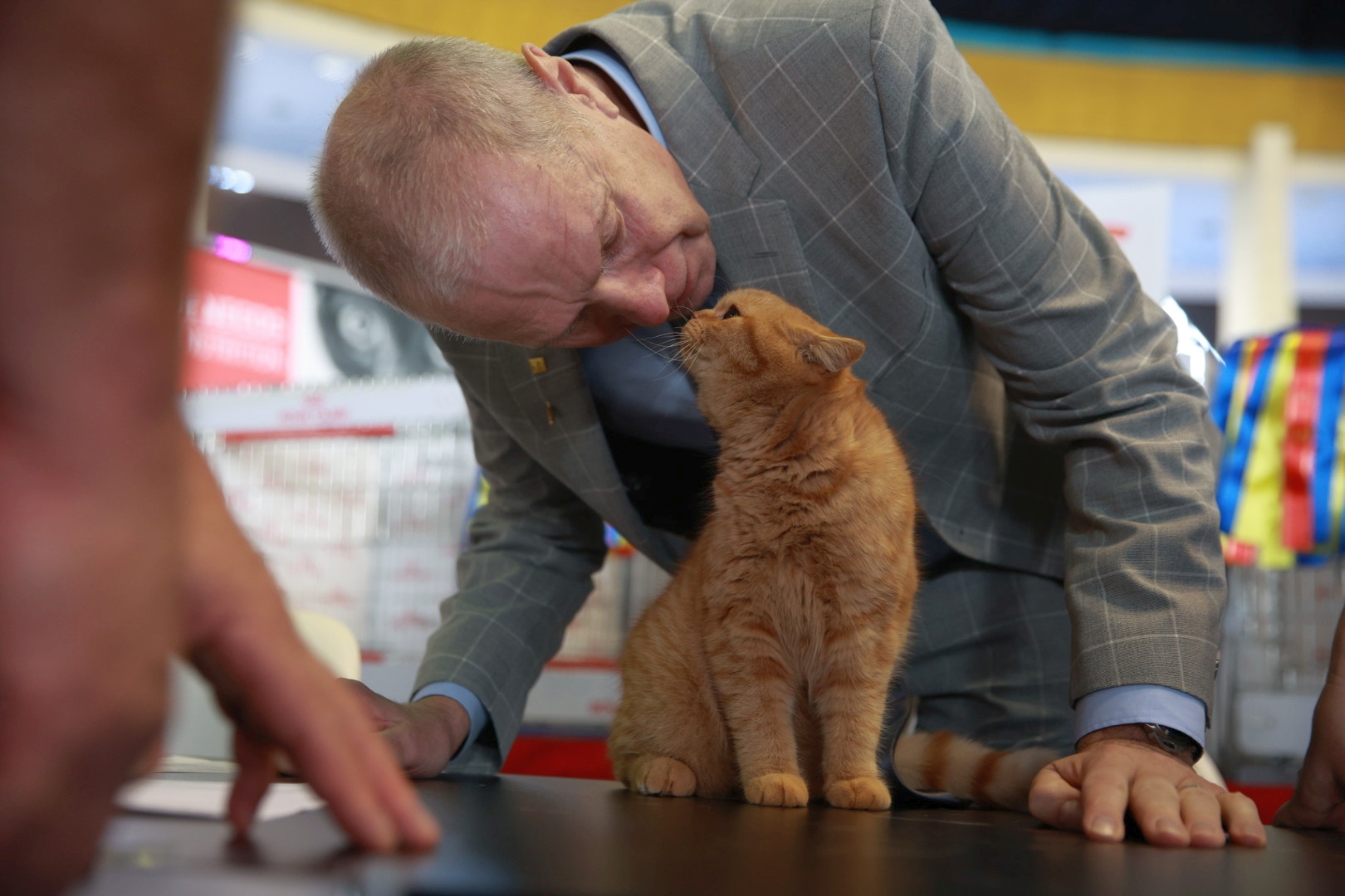 Libertatea a mers la Campionatul Mondial Felin. Bucureștiul, capitala mondială a pisicilor: peste 750 de feline din întreaga lume au strălucit la Romexpo