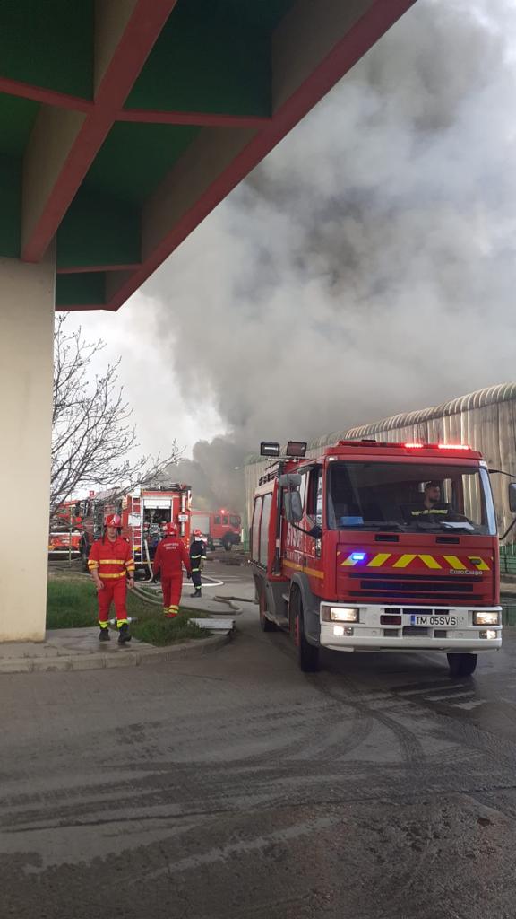 Incendiu puternic în Timișoara, la o fostă fabrică de țigări. În hala de lângă e depozitat azotat de amoniu lichid