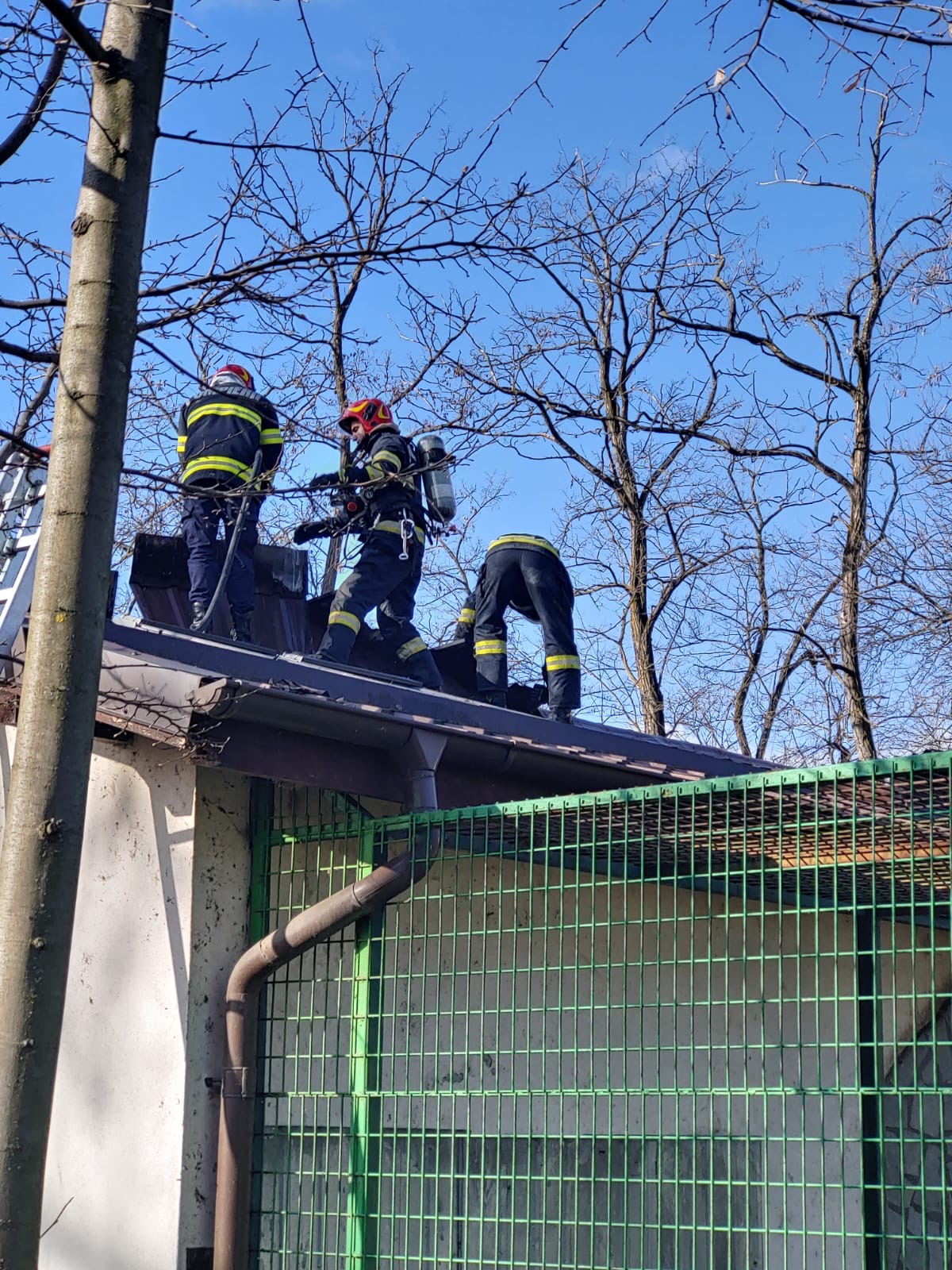 Incendiu la Grădina Zoologică din Râmnicu Vâlcea, la pavilionul unde sunt maimuțele. Animalele au fost evacuate