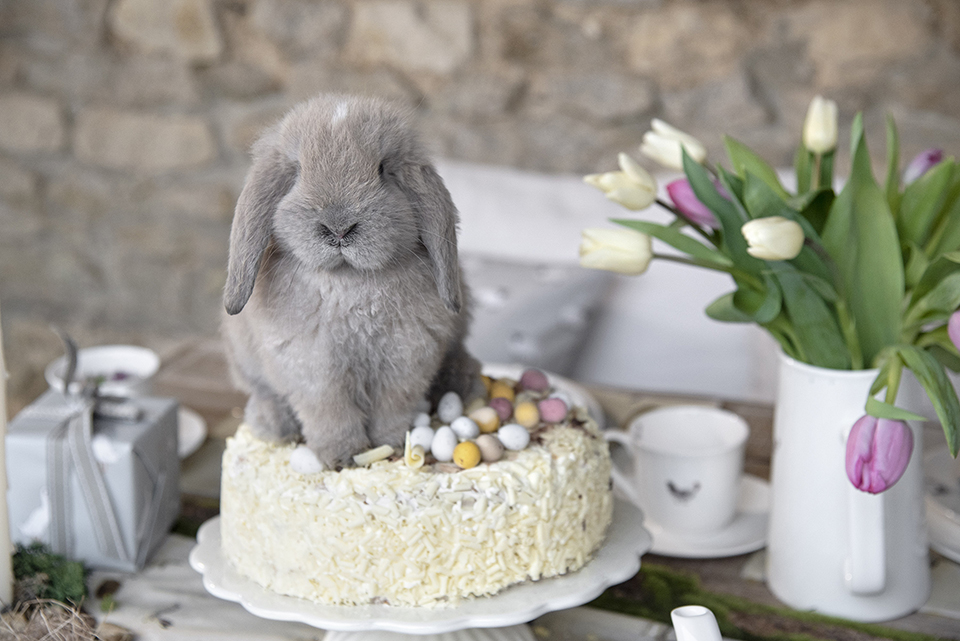  Nyuszik mindenhol: íme a legédesebb húsvéti dekorációk