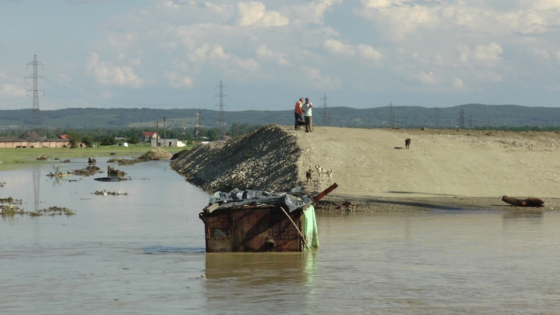 Ploile au făcut ravagii în țară! Mașini luate de viitură și zeci de gospodării inundate FOTO