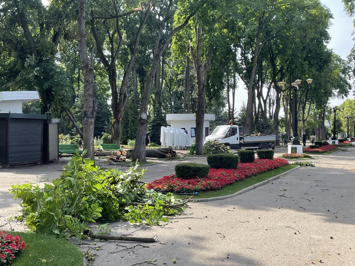 Cum arată Parcul Copou din Vaslui după ce a fost lovit de o furtună violentă. Copaci de 10 metri înălțime, smulși din rădăcină 