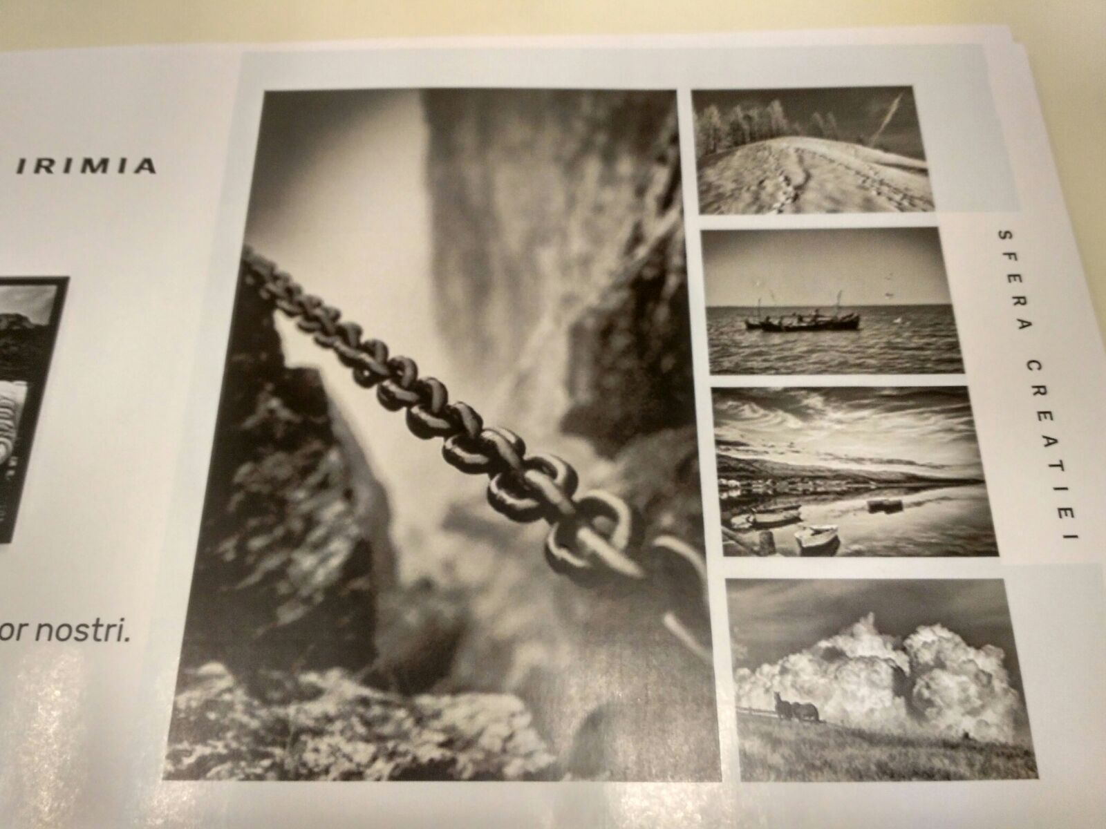 REPORTAJ/ Tânăra artistă care are o afacere unică în România. A dat munca de la bancă pe … Printosferă - FOTO