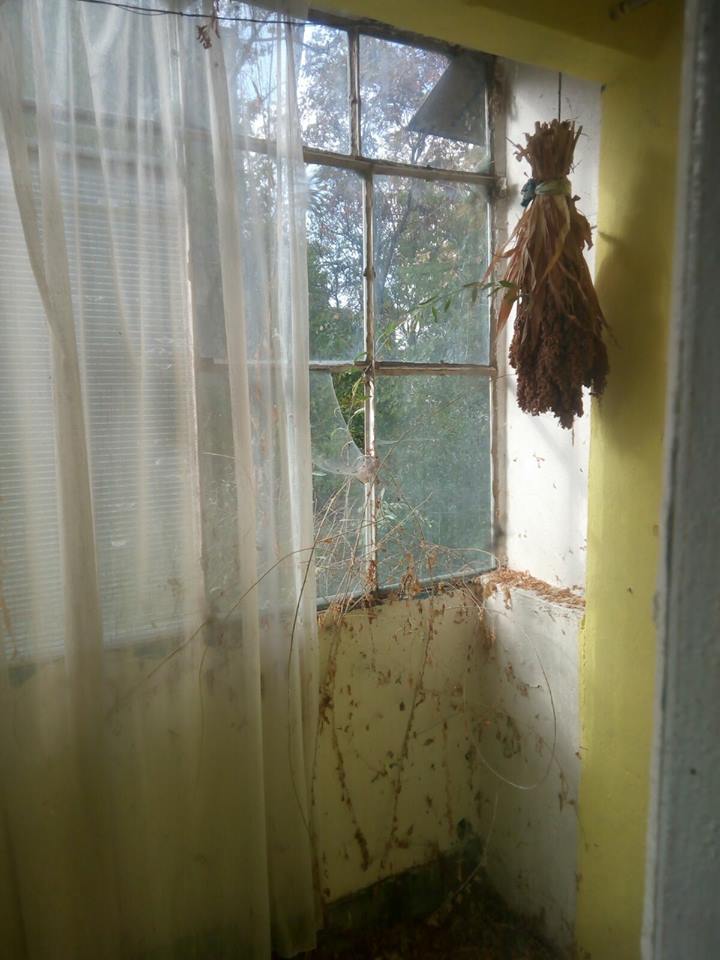 FOTO/ Apartamentele repartizate medicilor de la Spitalul de Psihiatrie Galați, pline de gunoaie, cu pereți scorojiți, țevi ruginite și geamuri sparte
